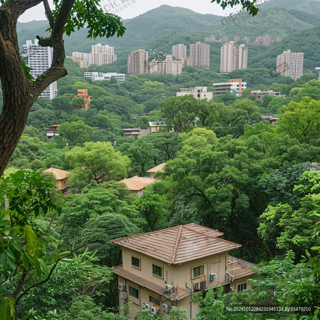 密集房屋绿色山林树木