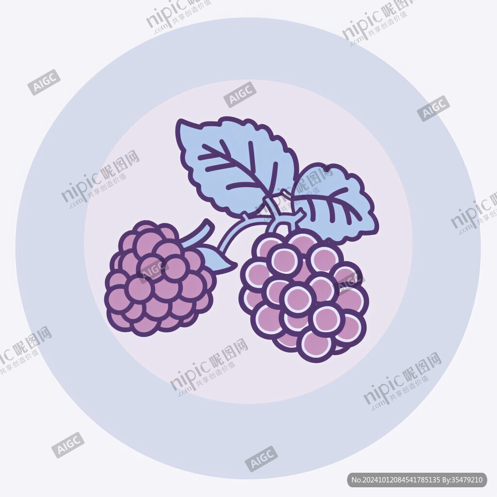 红提葡萄插画
