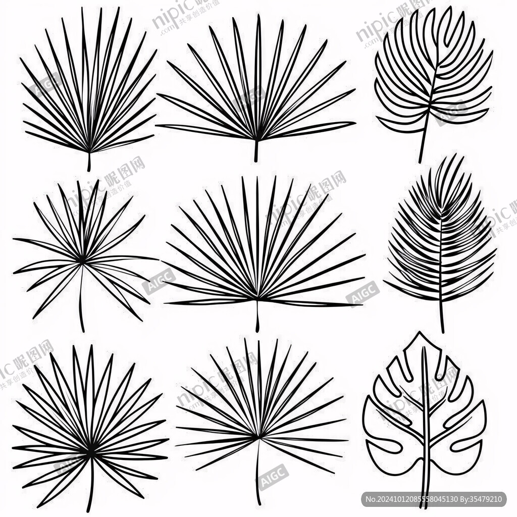 线描棕榈叶
