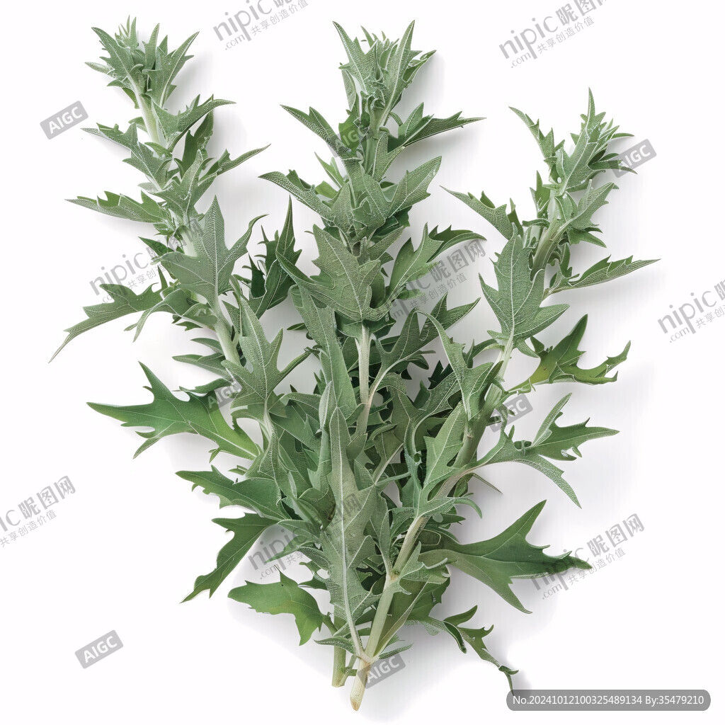 花叶竹夹菜背景实拍