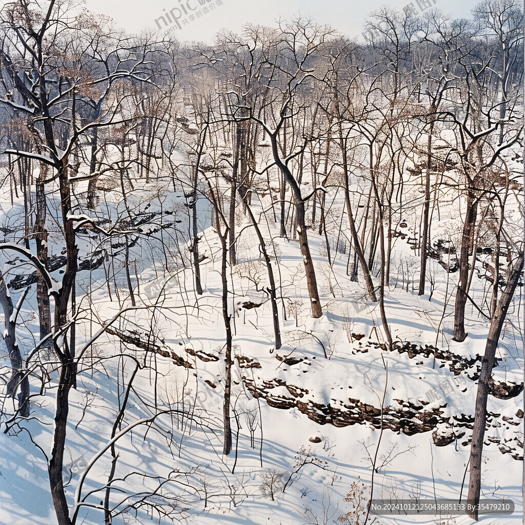 丛林雪地光影