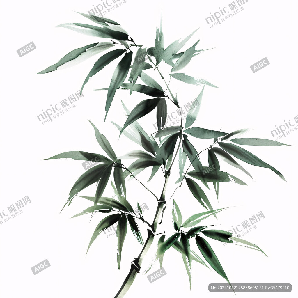 竹子竹叶绿竹翠竹