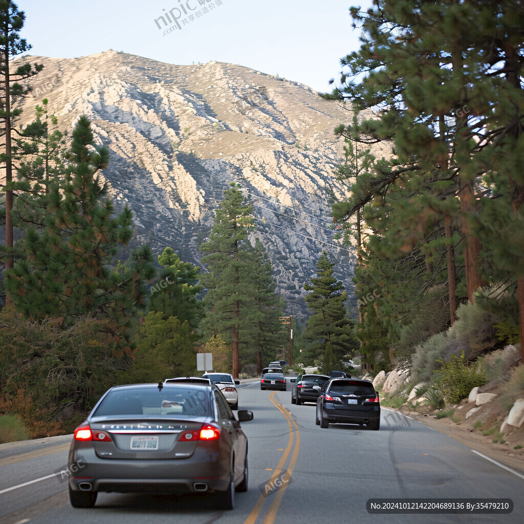山林树木道路交通