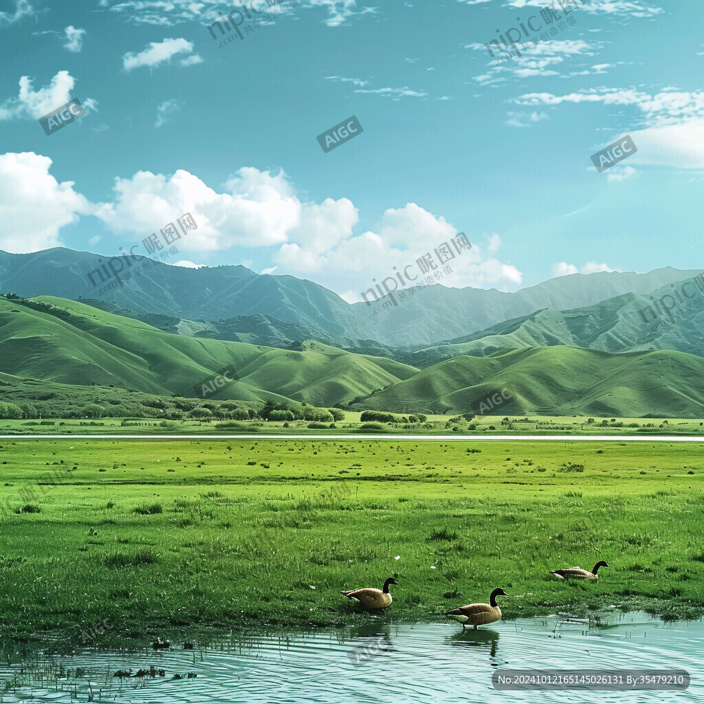 河流草地草坪鹅群