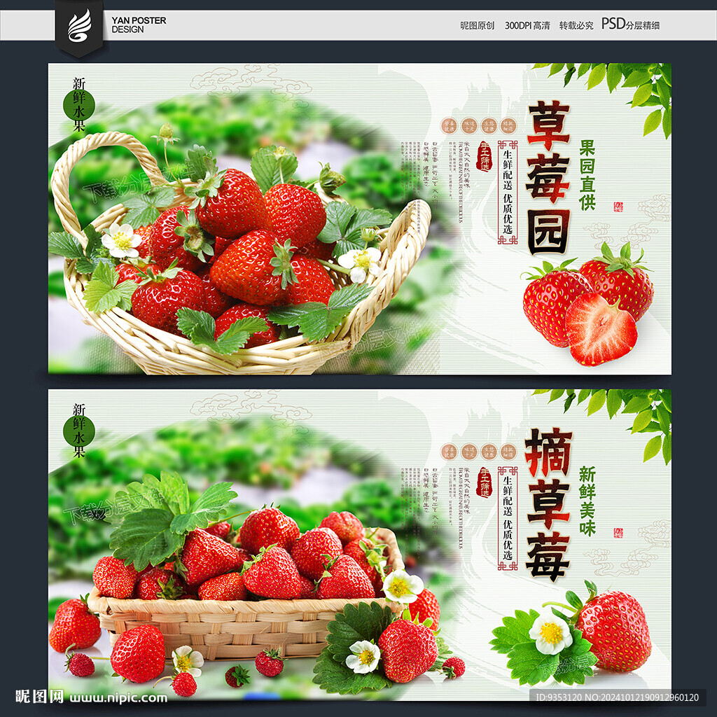 摘草莓
