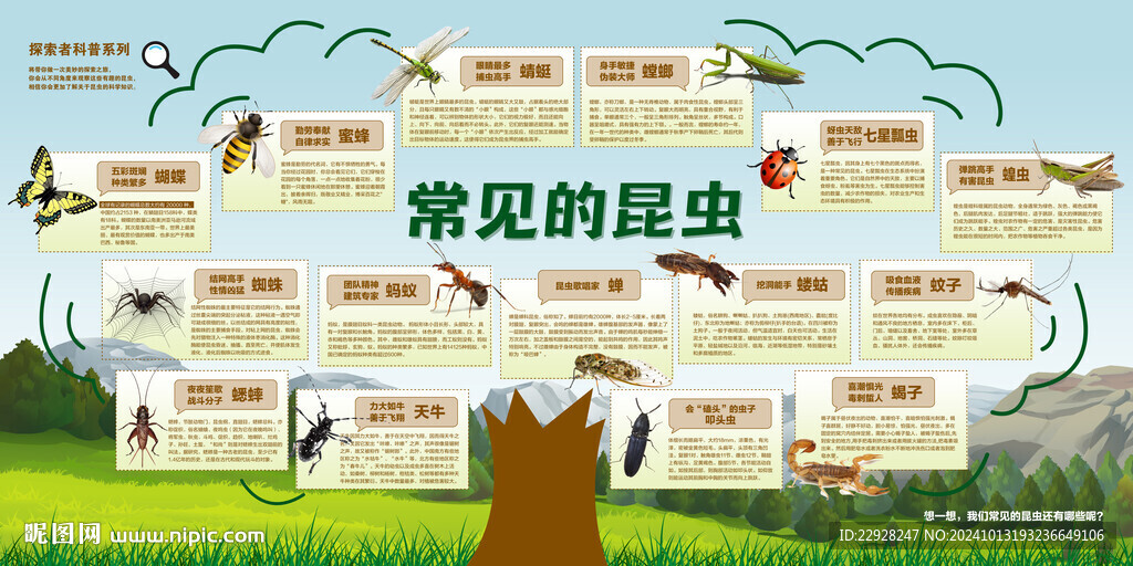 常见的昆虫