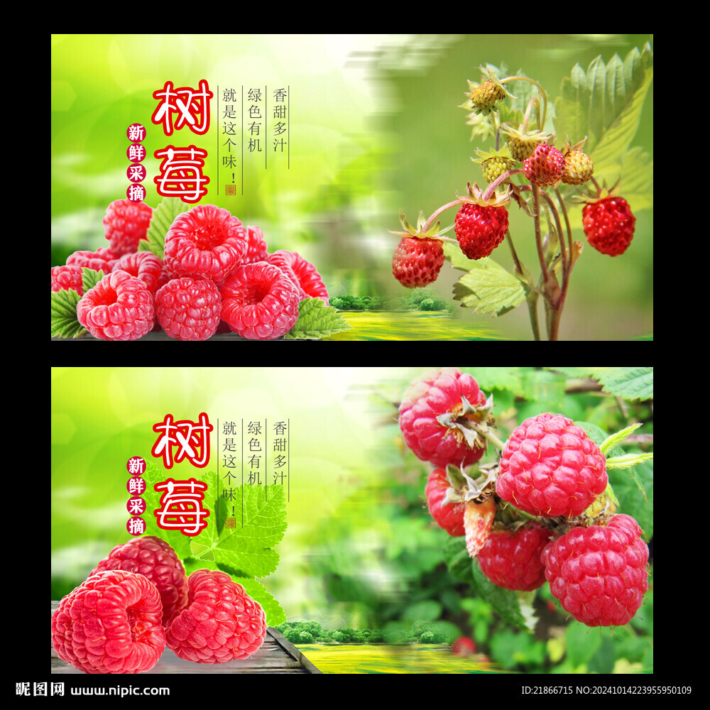 树莓