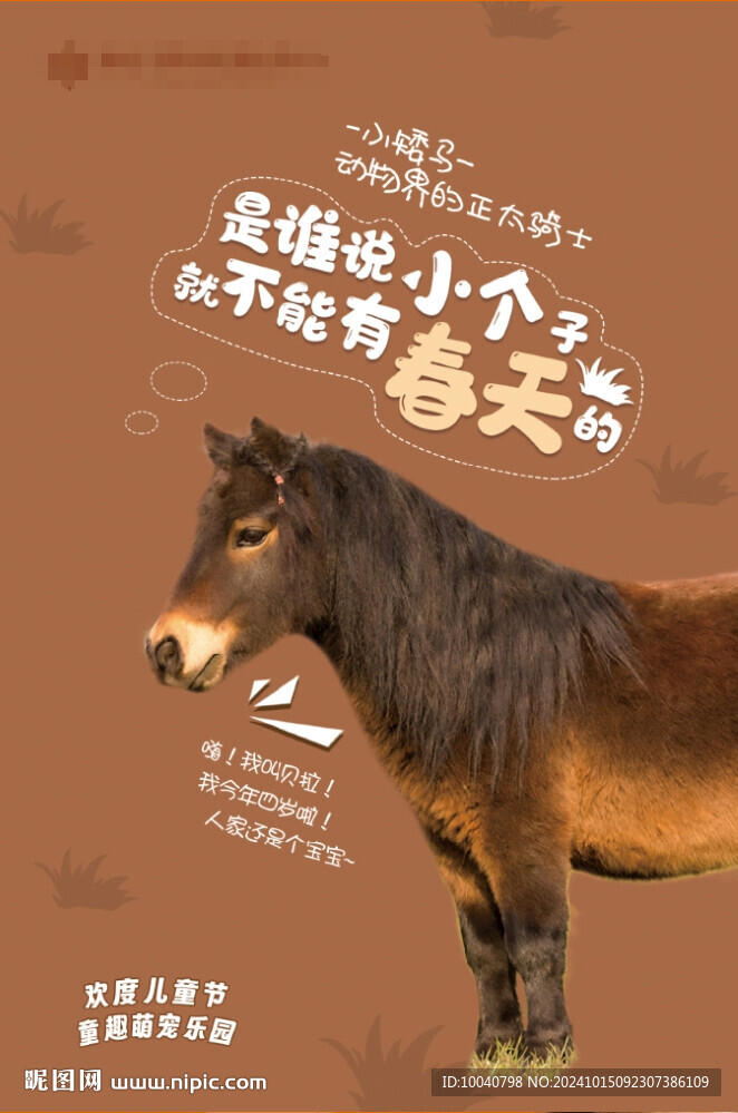 萌宠小矮马海报