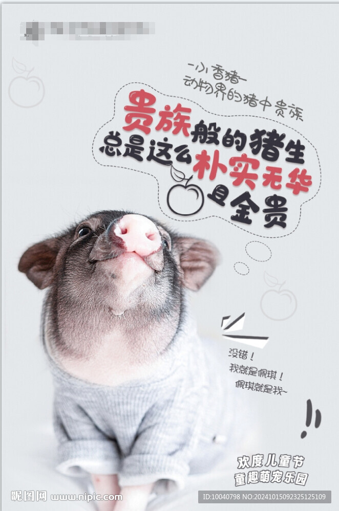 萌宠小香猪海报