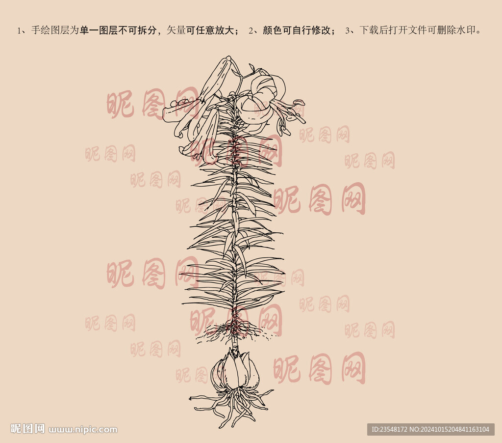 百合