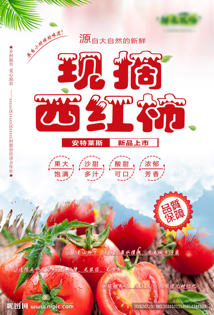 西红柿海报