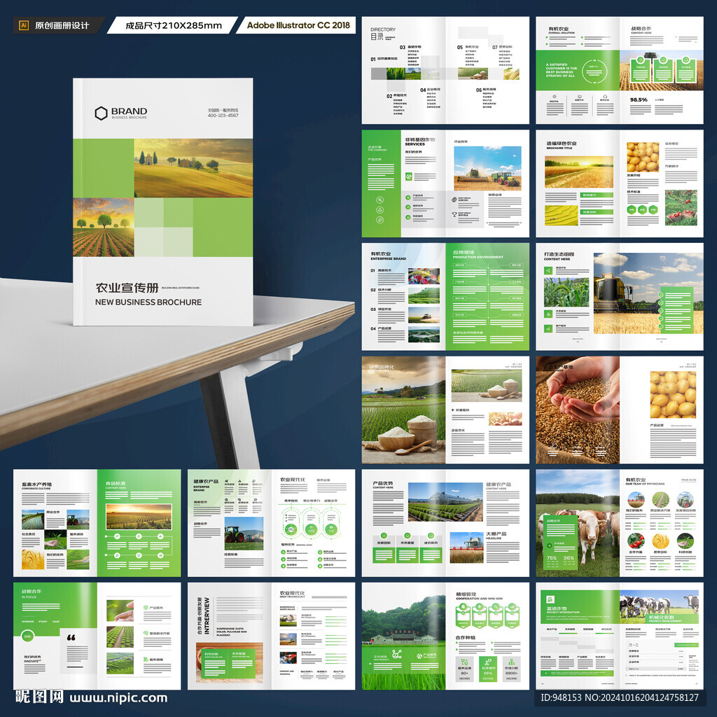 农产品宣传册