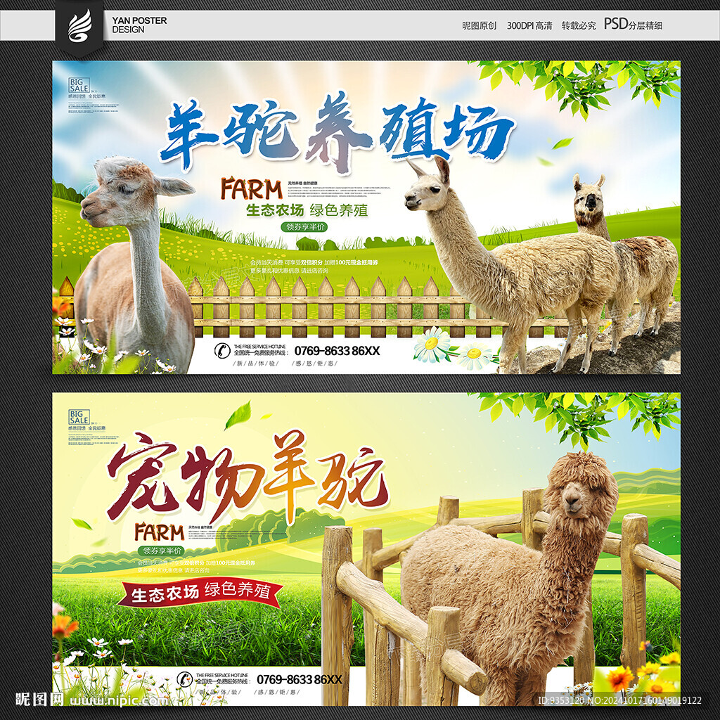 羊驼