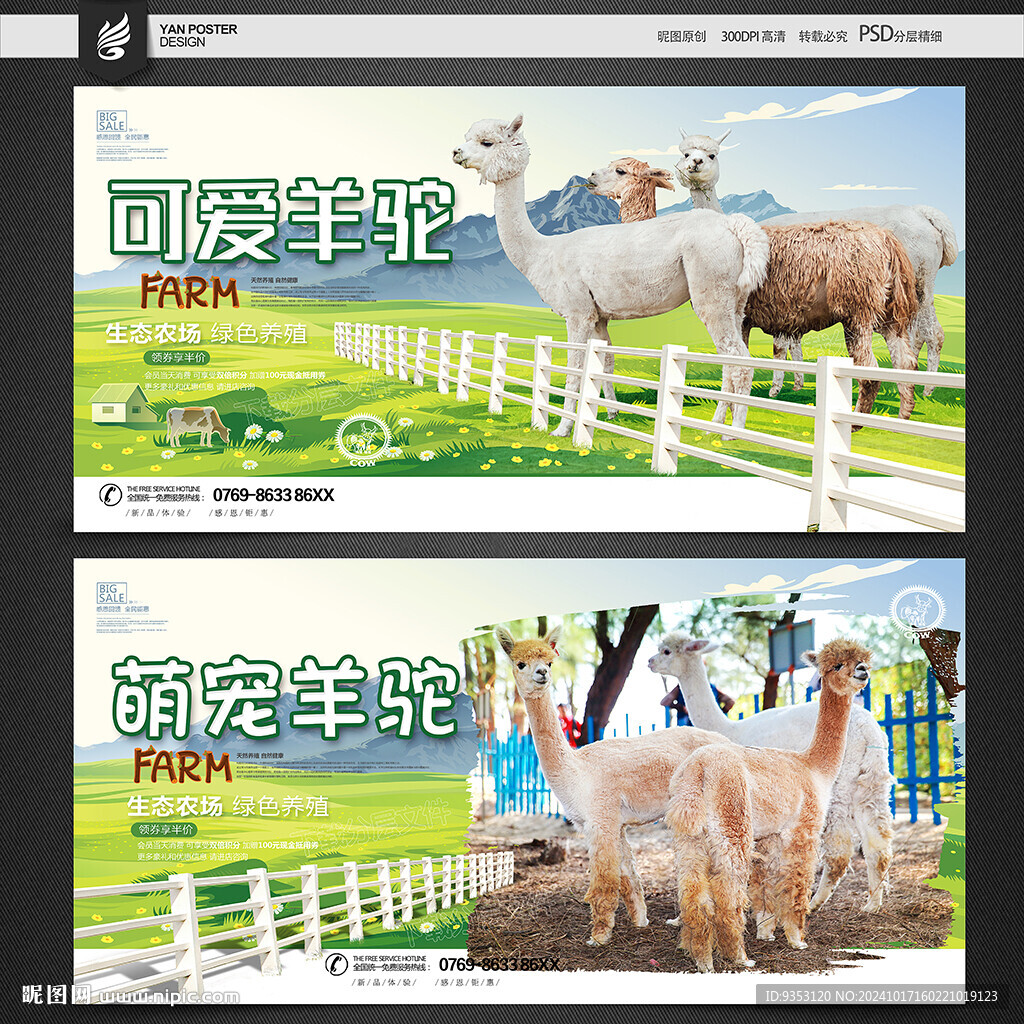 羊驼