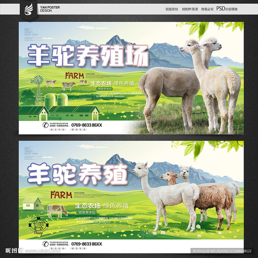 羊驼海报