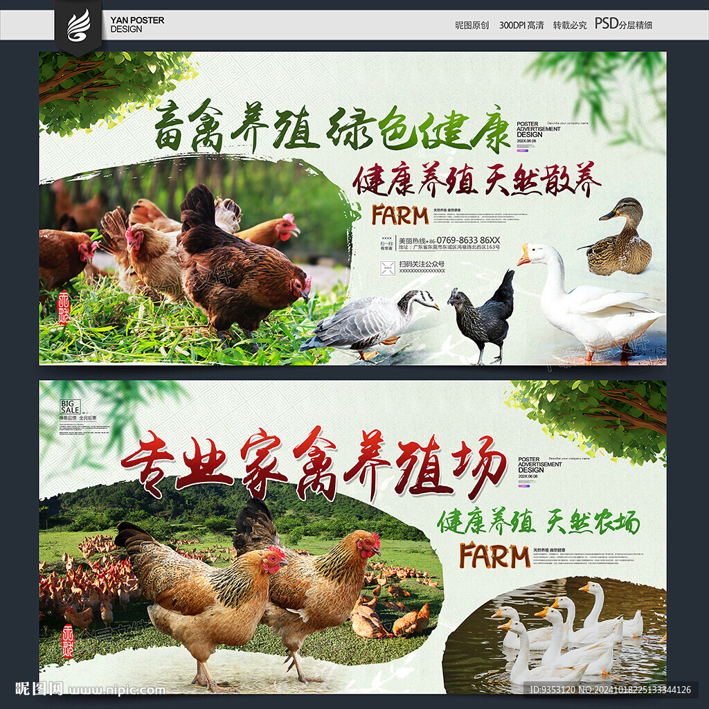 家禽