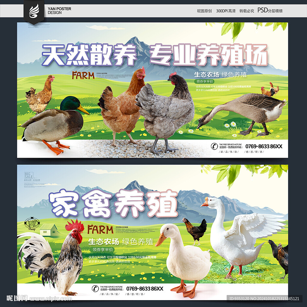 家禽海报