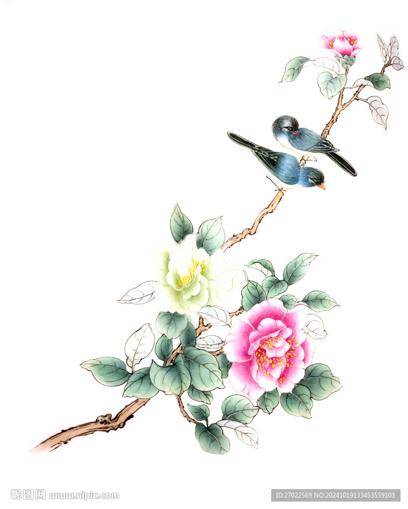花鸟