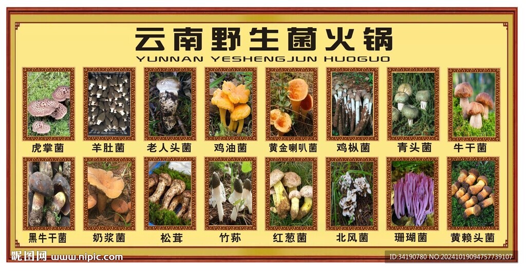 云南野生菌火锅