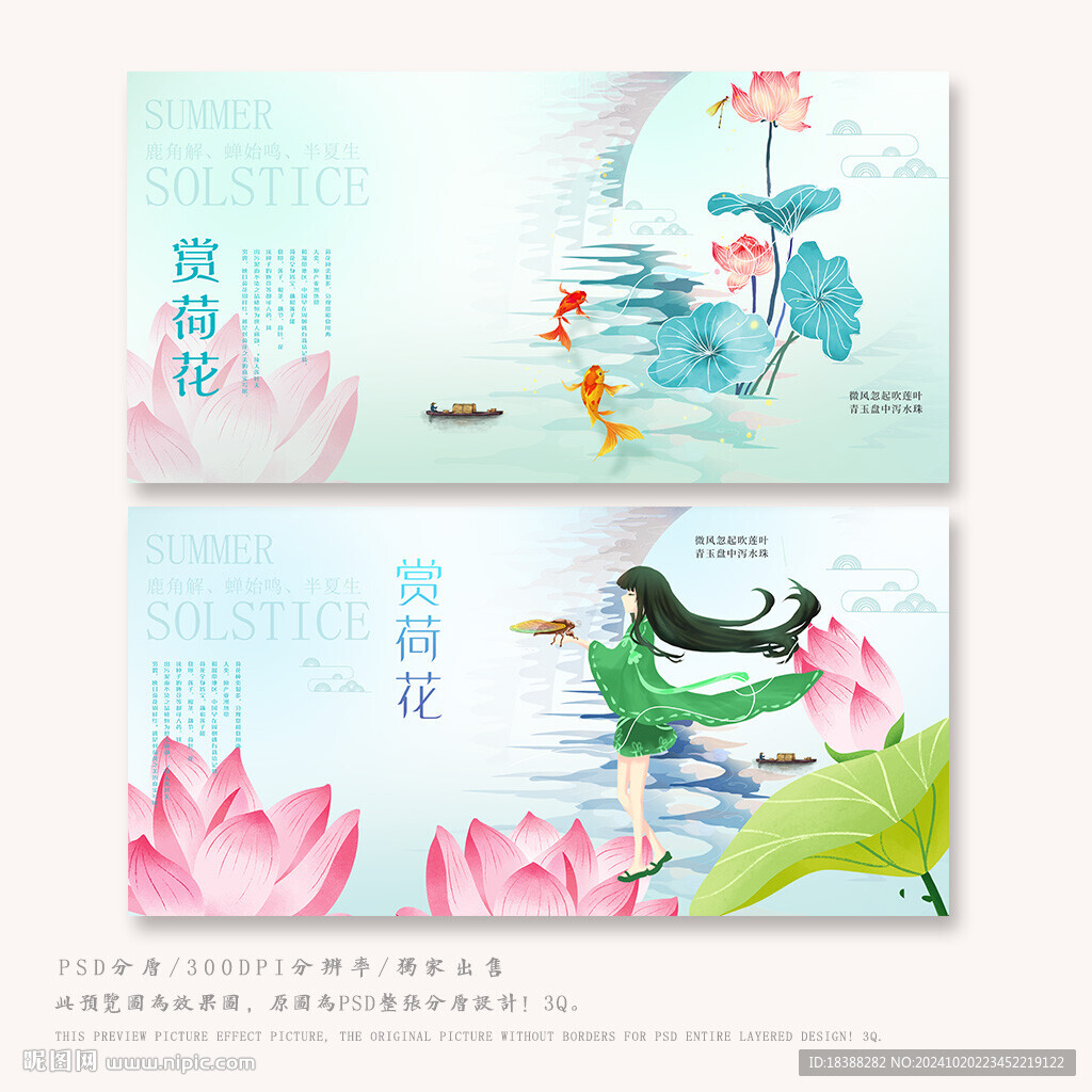 赏荷花