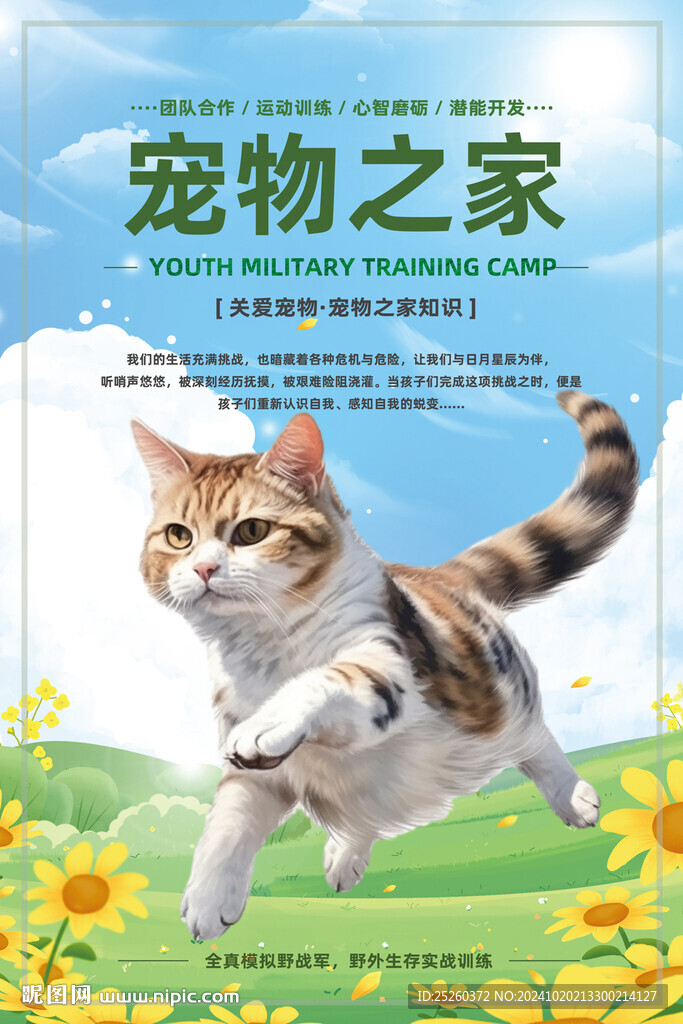 宠物