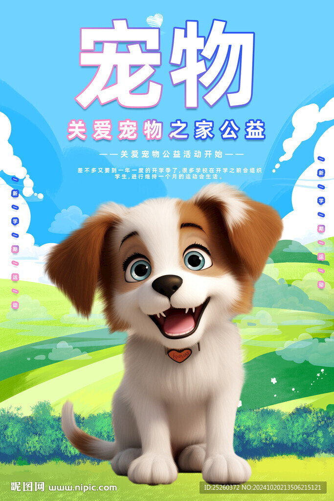 宠物