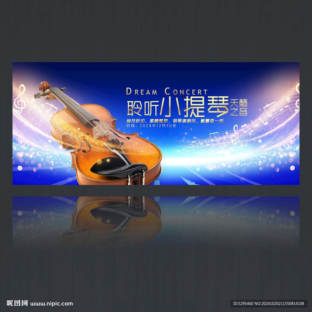小提琴演奏会
