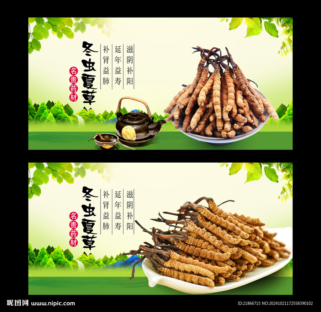 冬虫夏草