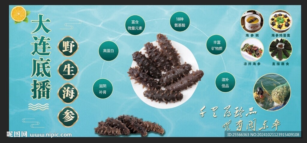  海参广告