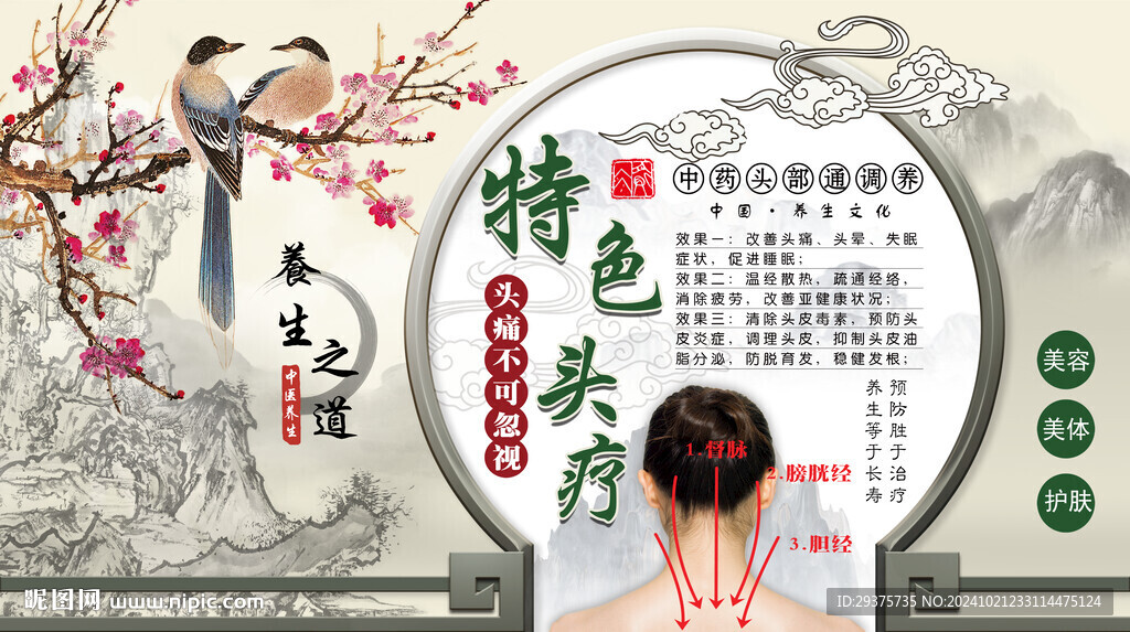 特色头疗背景墙