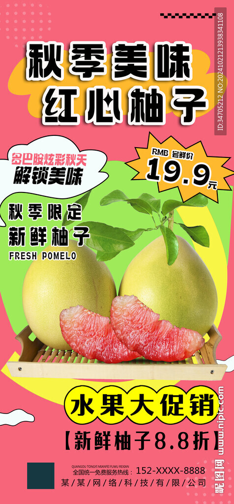 柚子海报