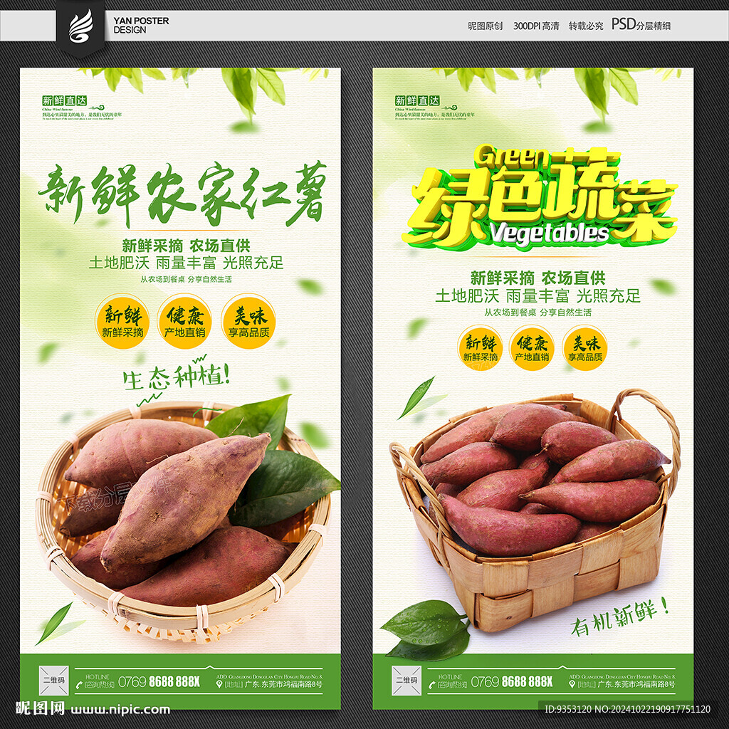 红薯