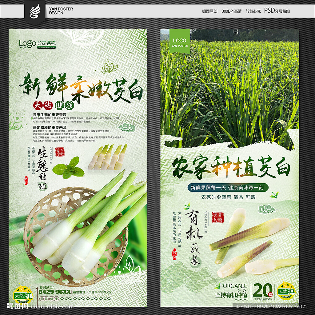 茭白