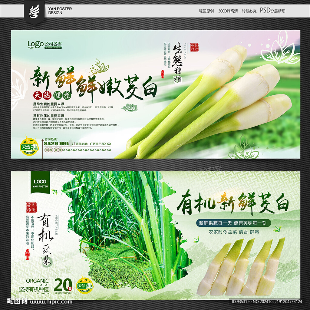 茭白