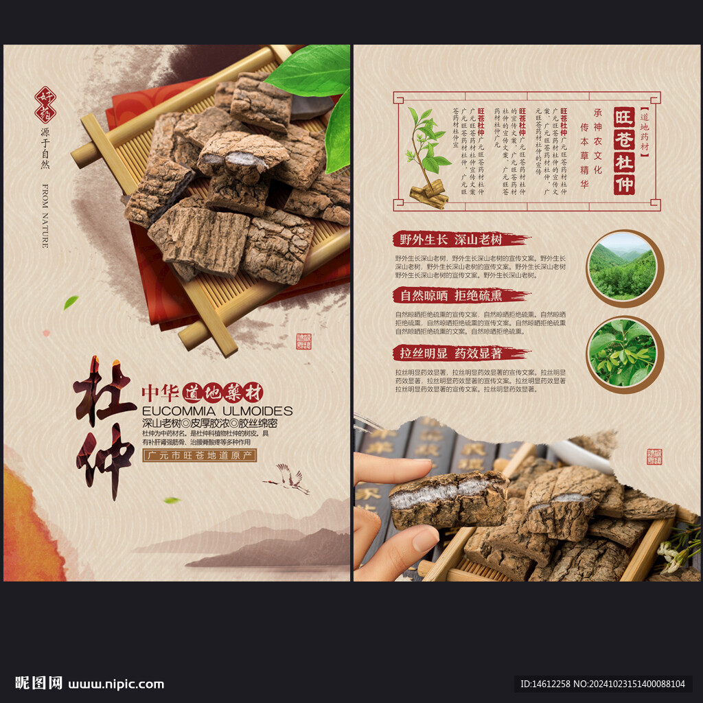 杜仲