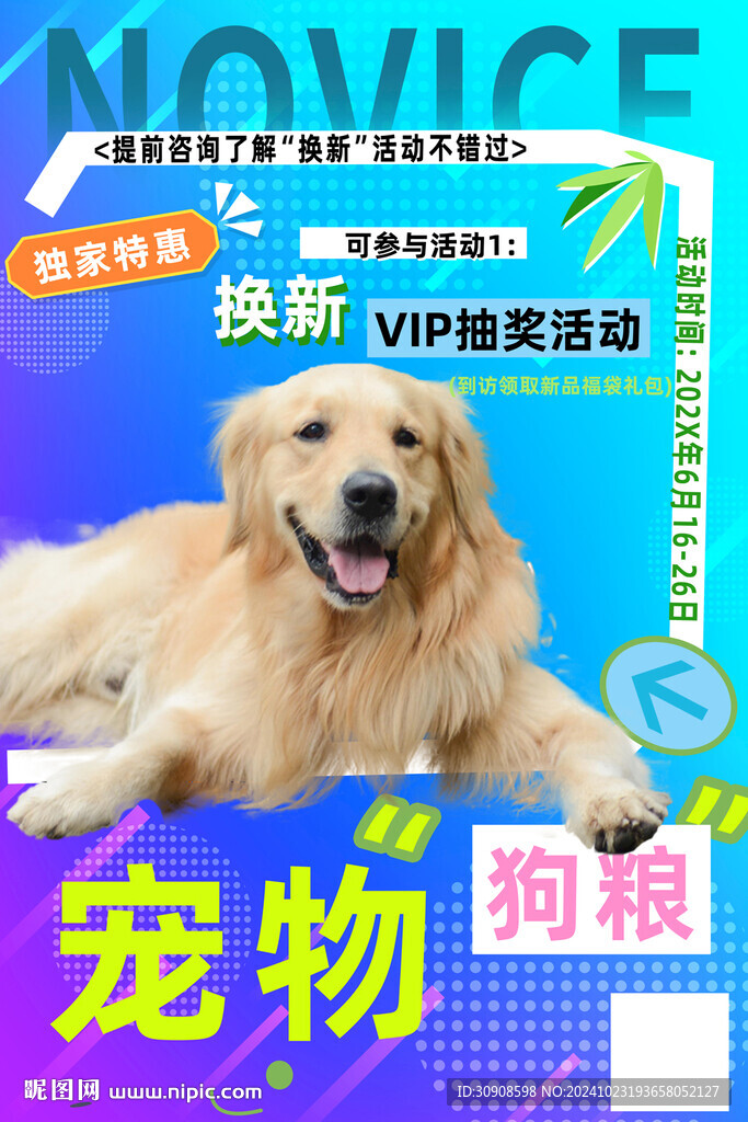 宠物