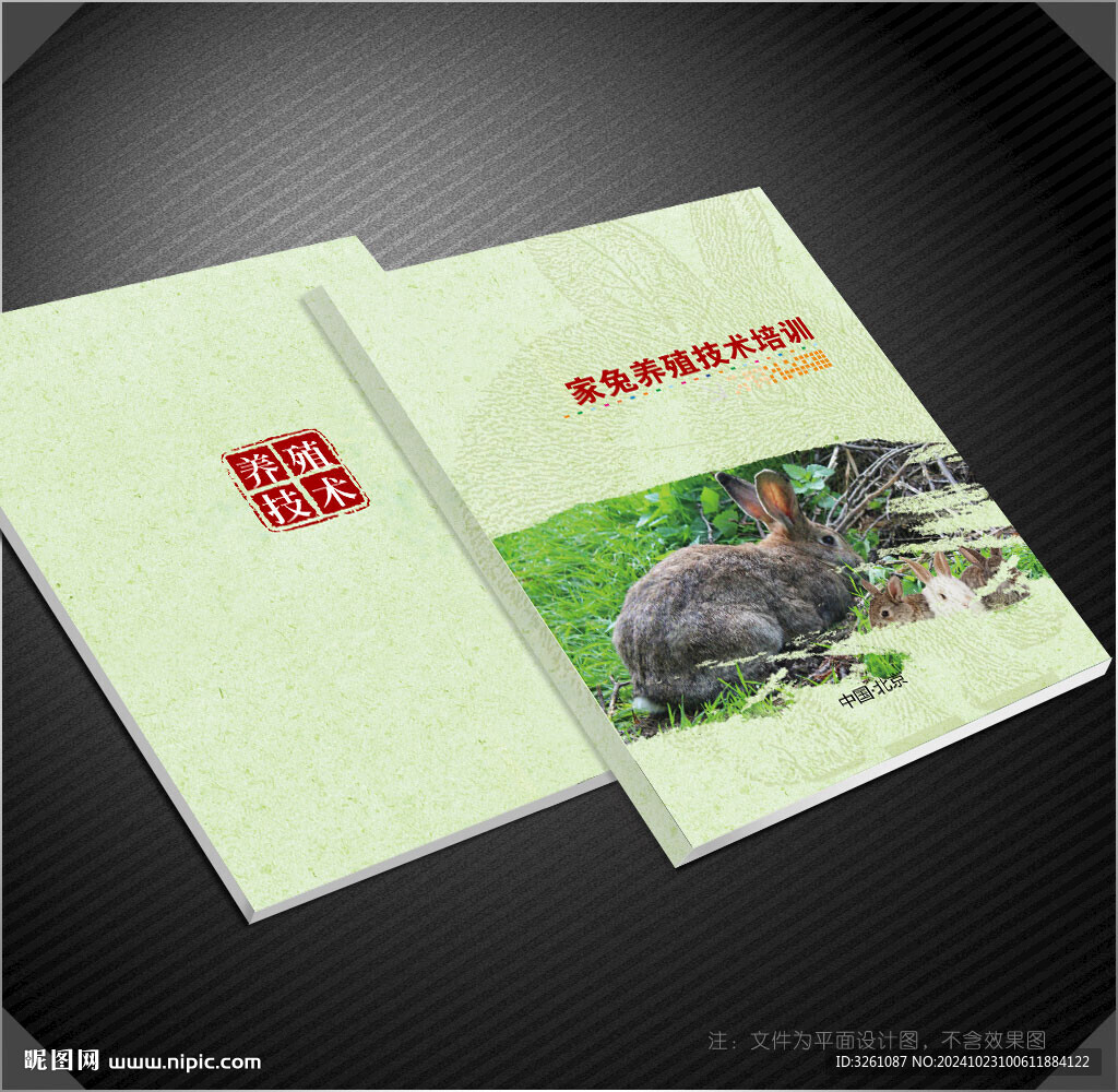 兔子封面