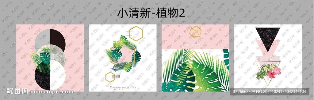 小清新植物