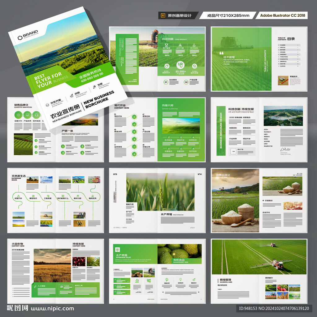 农产品宣传册