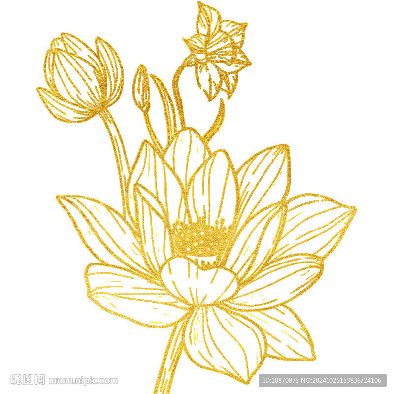 金色莲花