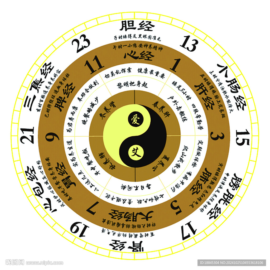 十二经  养生