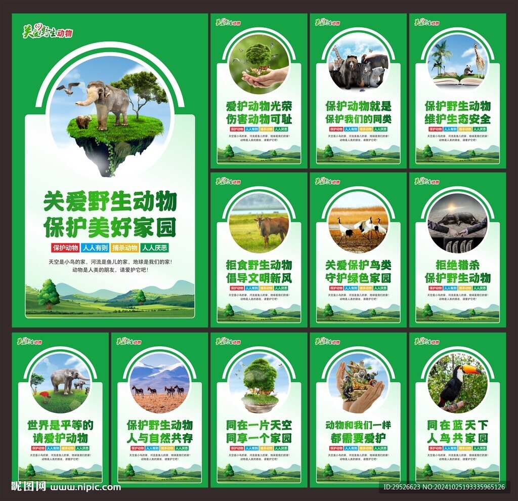 保护动物