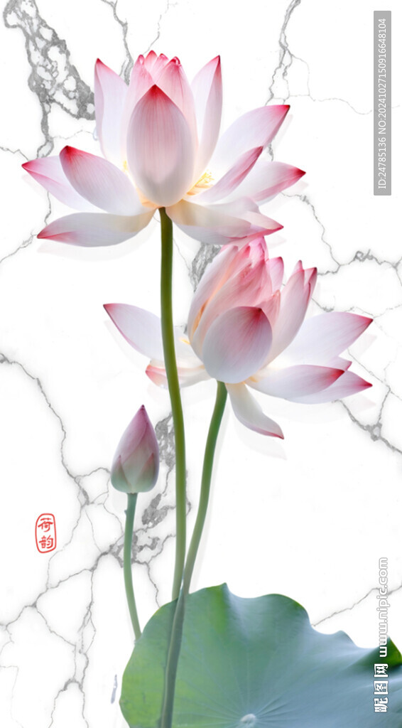 立体荷花玄关画