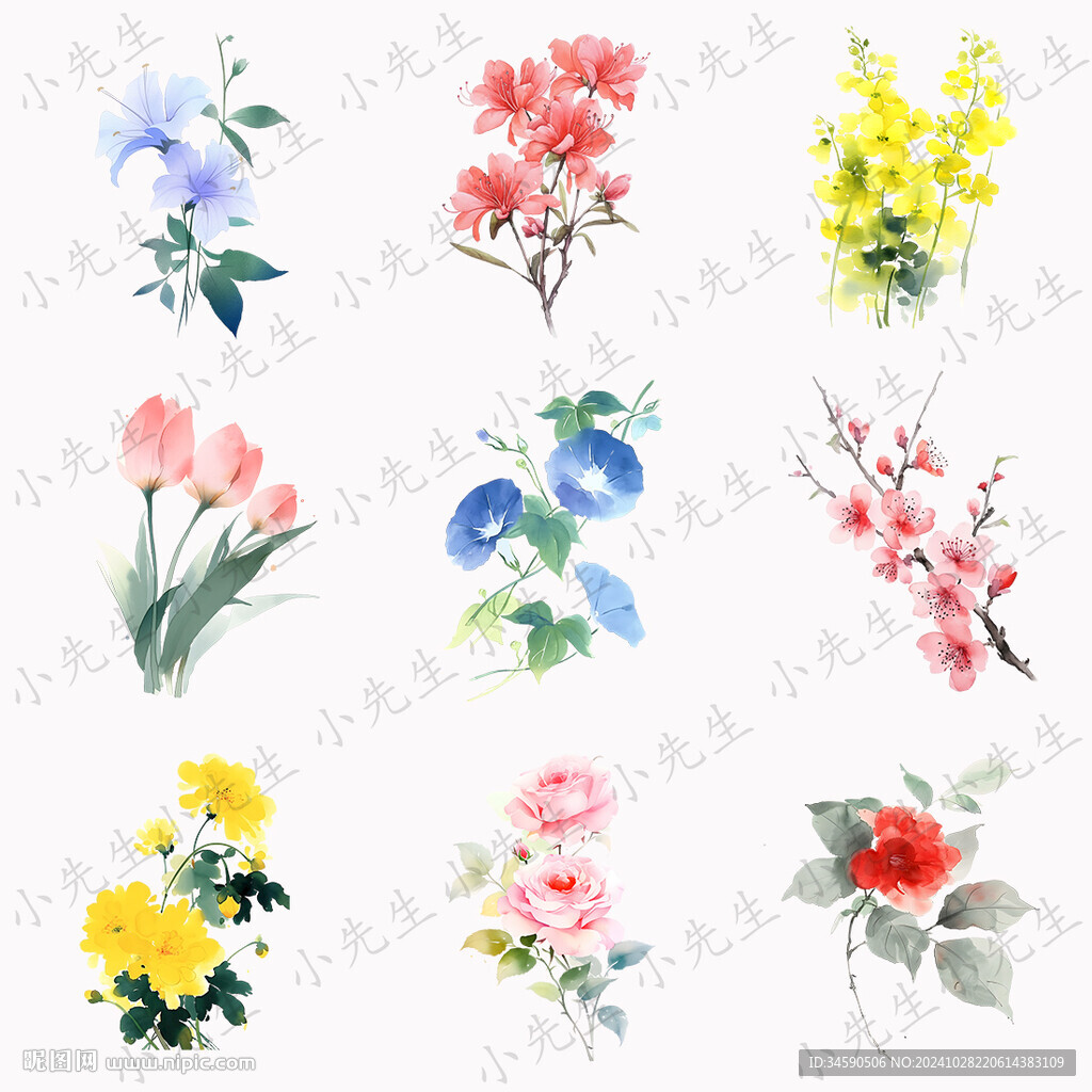 七彩花朵花卉鲜花插画贴纸