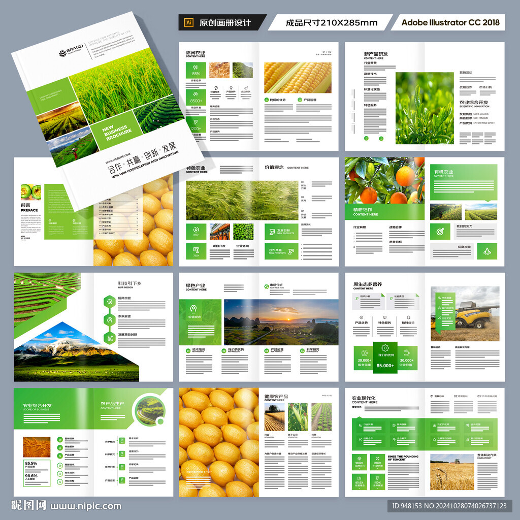 农业合作社画册