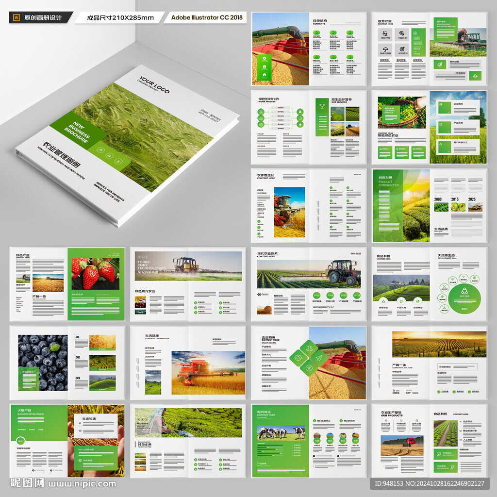 农产品宣传册