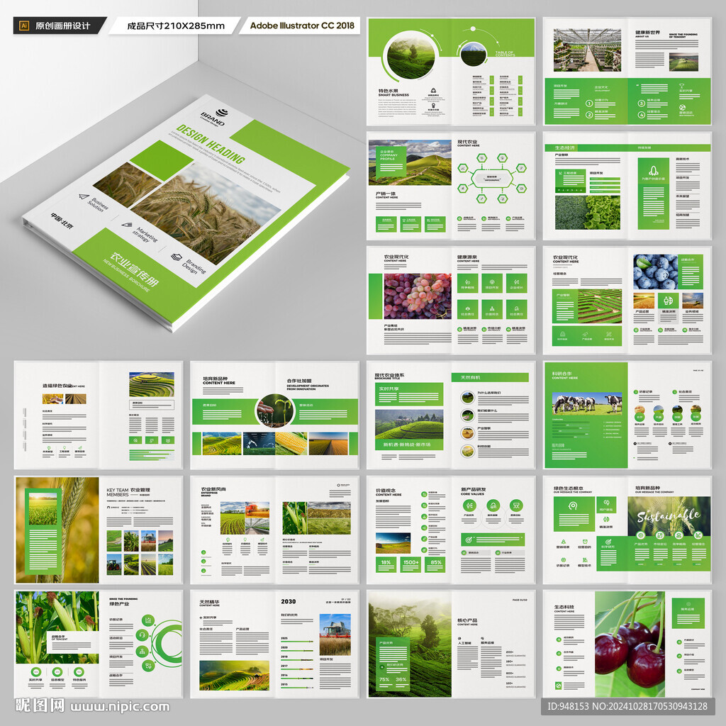 农产品画册
