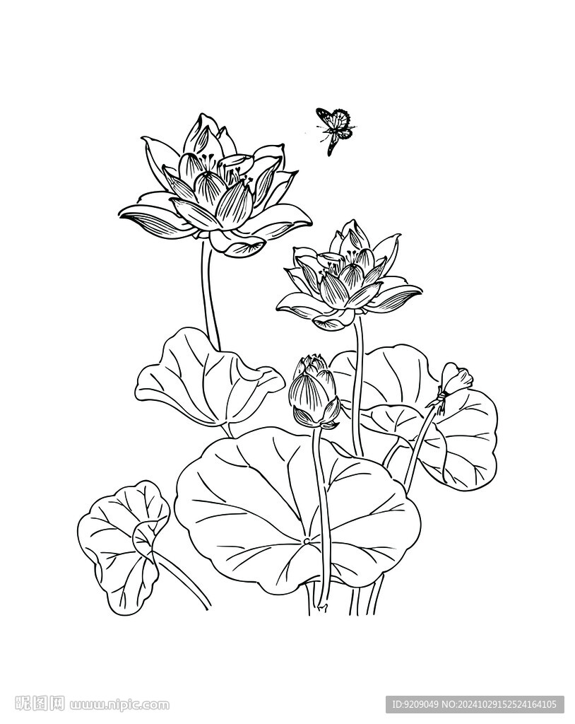 莲花矢量图
