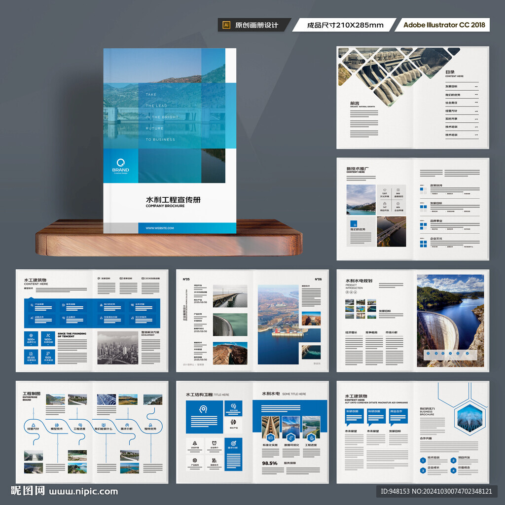 大坝宣传册 