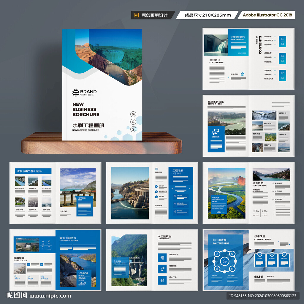 大坝宣传册 